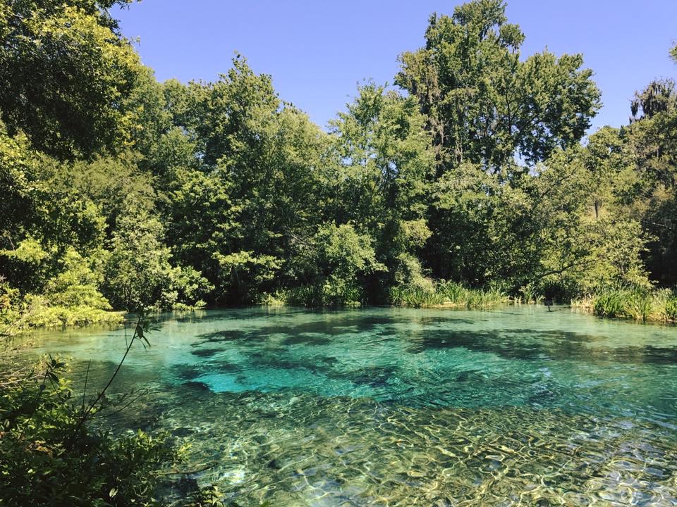 IChetucknee springs state park swimming area, enjoyed by franklintown FL photographer 