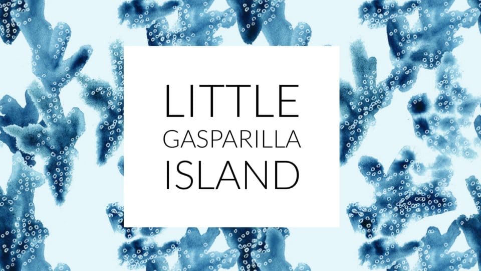 graphic of little Gasparilla Island for a photography blog post using black font and a blue illustration of coral