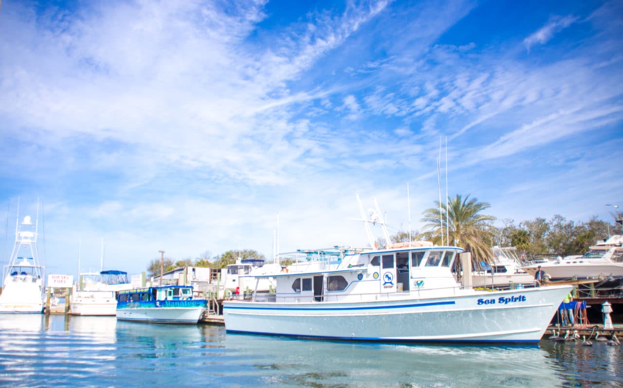 Daytona beach photographer captured pictures in Ponce Inlet of sea Spirit fishing charter
