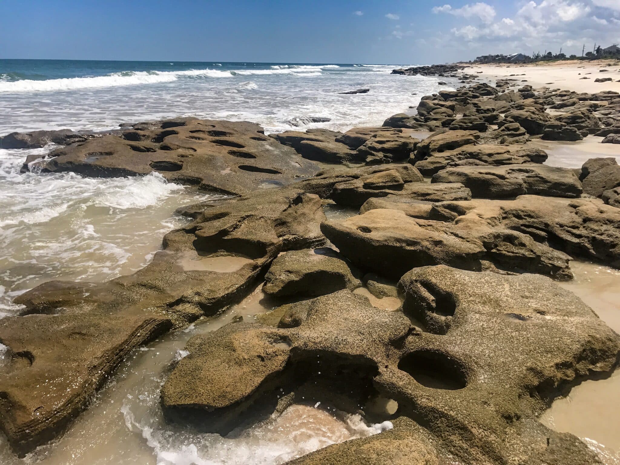 Ormond Beach Photography of Washington Oaks garden state park