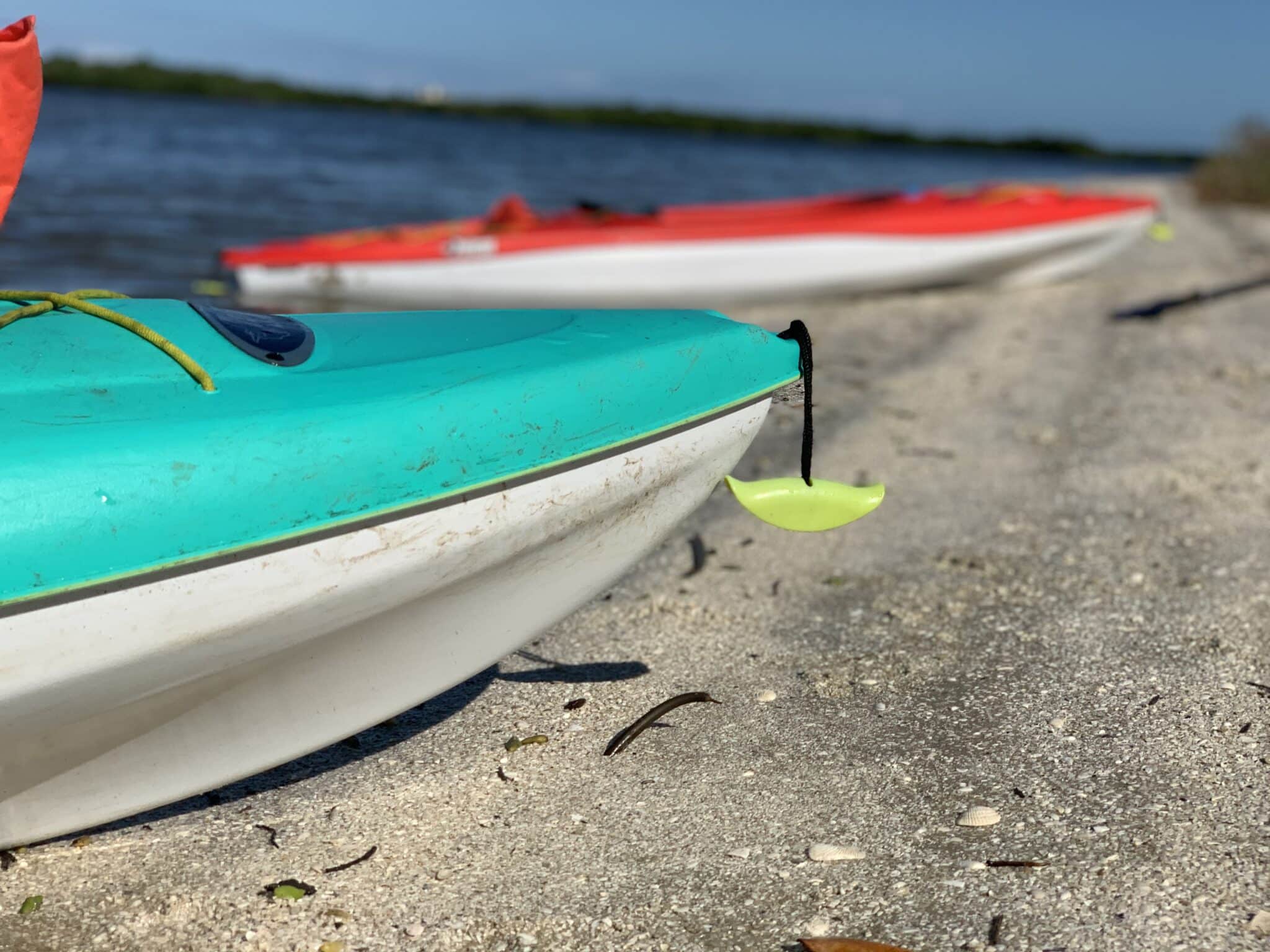 kayaking new smyrna beach