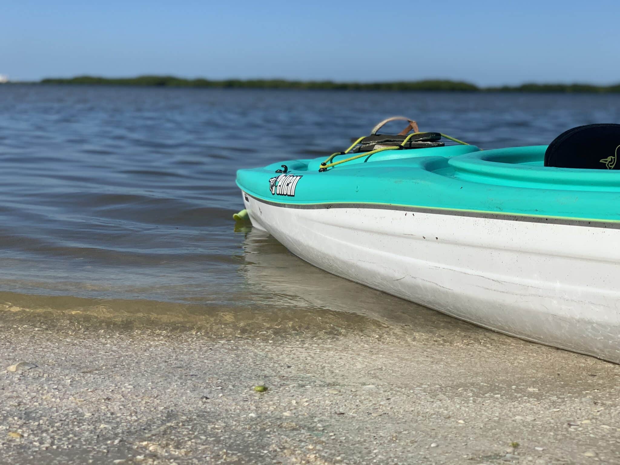 kayaking new smyrna beach