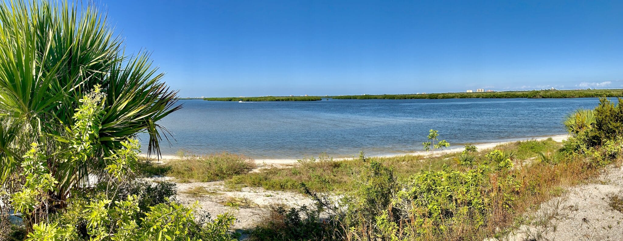 view from island while kayaking new smyrna beach fl