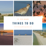 St. Pete Things to Do