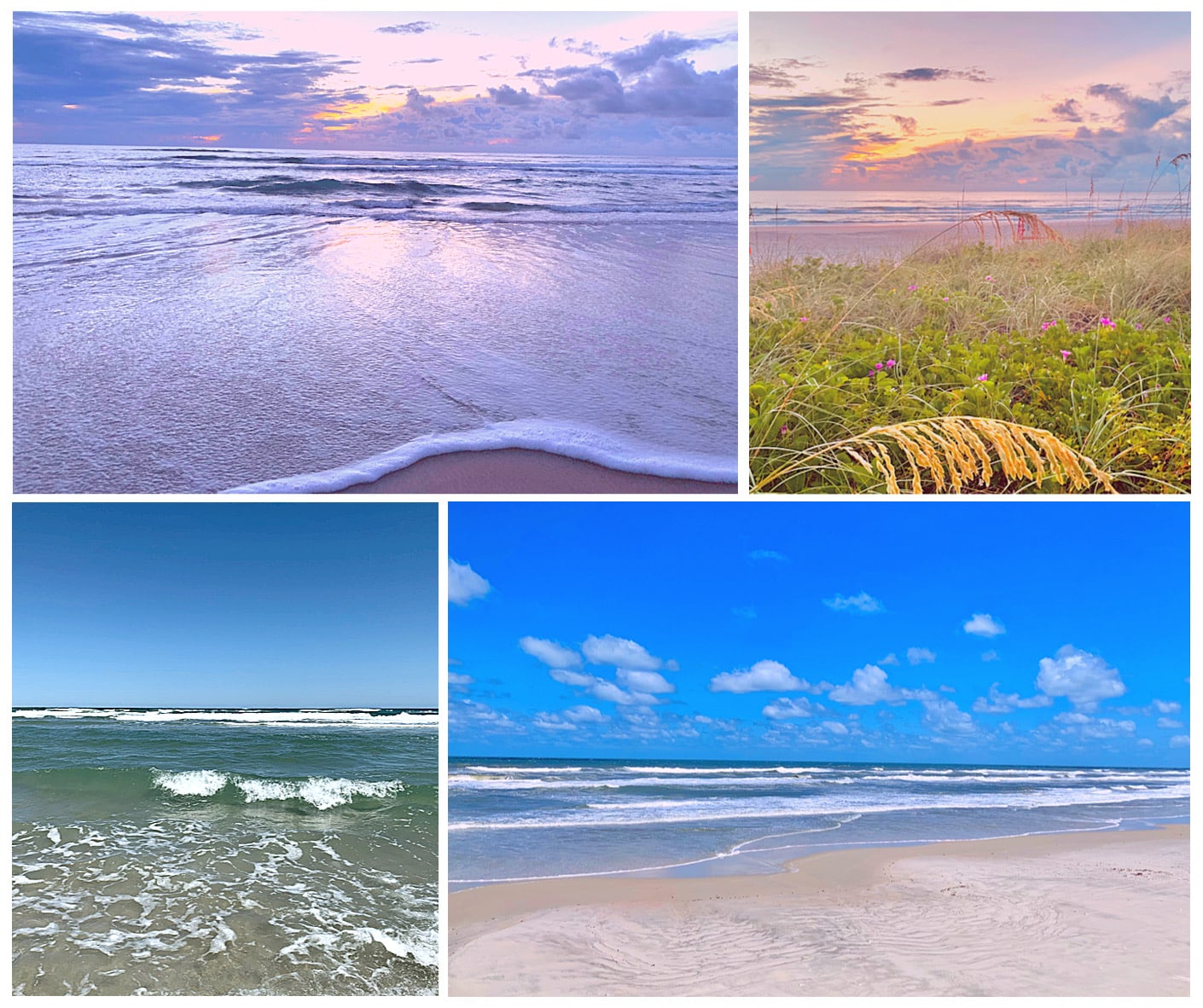 Daytona Beach photography collage of beach photos