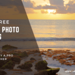 Siesta Key Beach family photographer